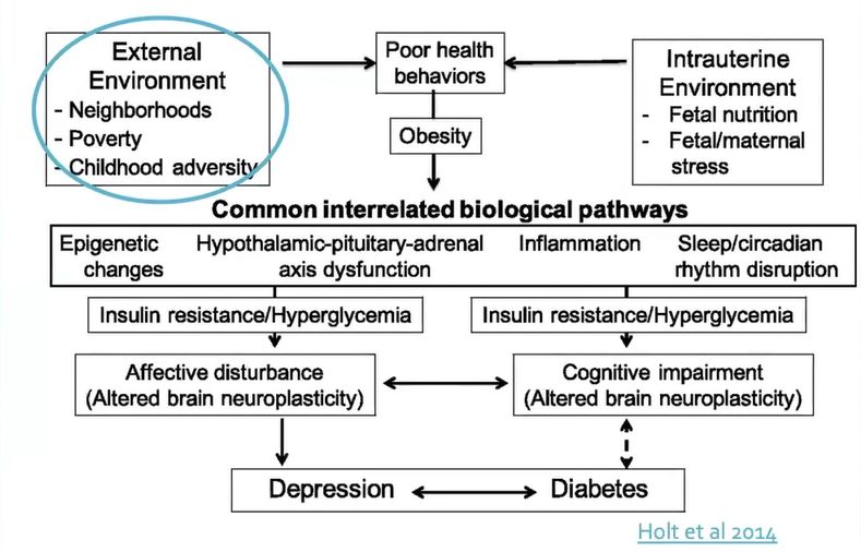 Factors for diabetes and depression